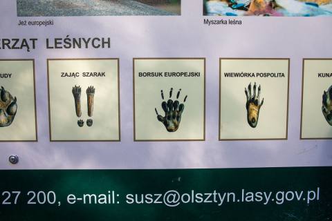 Zdjęcie 21