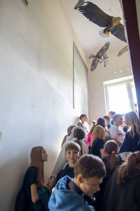 Zdjęcie 28