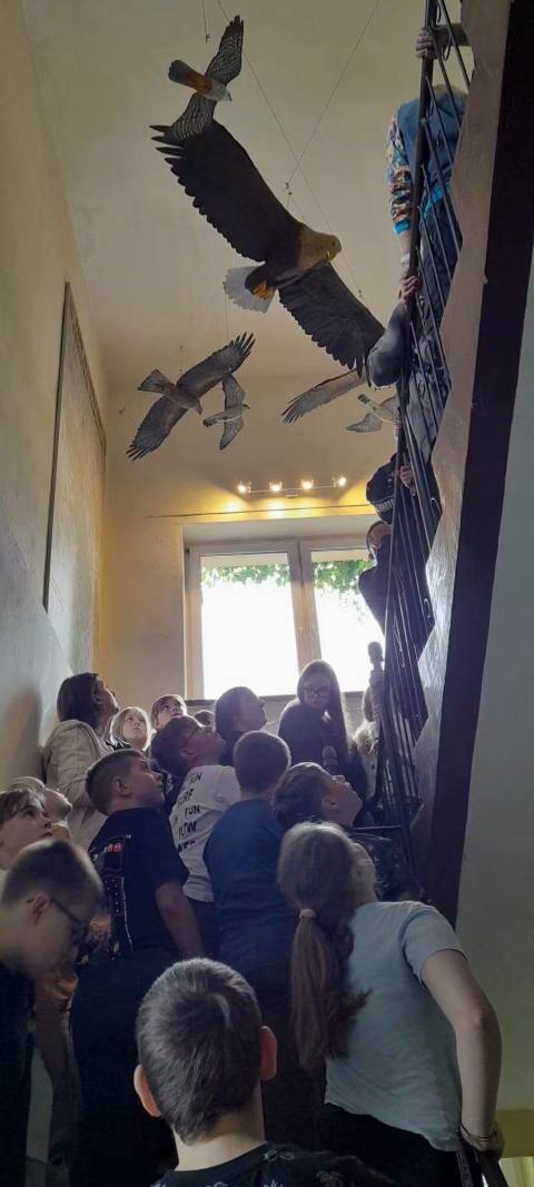 Zdjęcie 1
