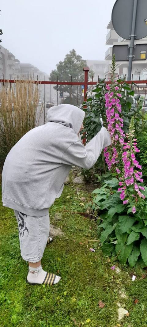 Zdjęcie 2