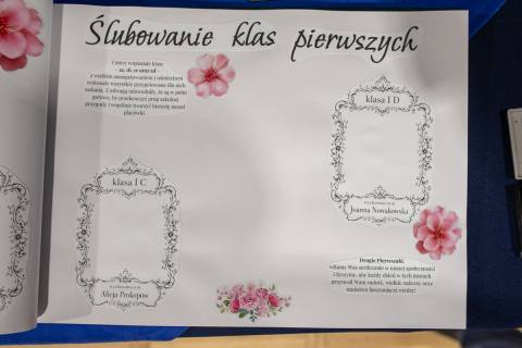 Zdjęcie 234